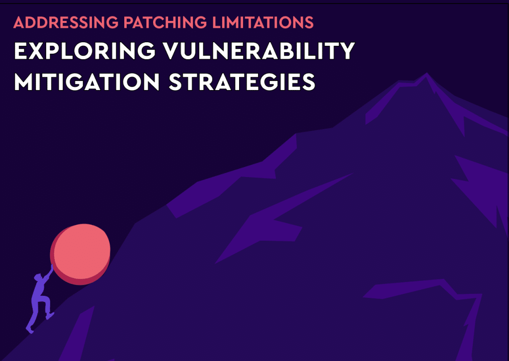 Addressing Patching limitations‭: ‬exploring vulnerability mitigation Strategies