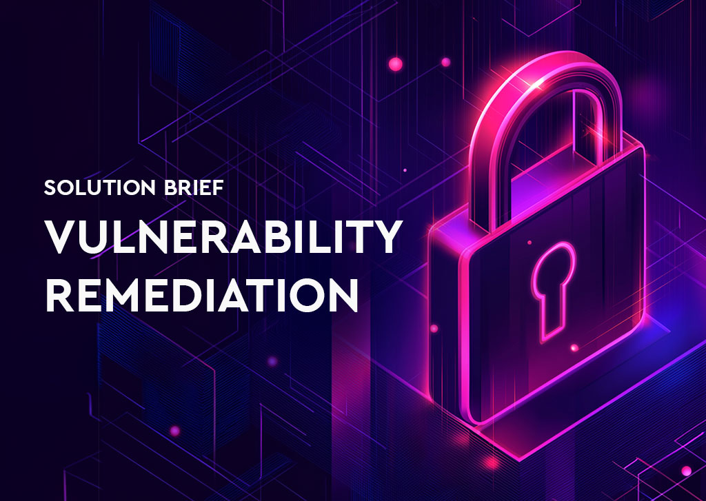 Vulnerability Remediation